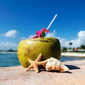 Ixtapa costo diario con todo incluido